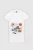 195391-01.webp