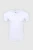 2003714-01.webp