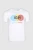 212818-01.webp