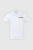 248044-01.webp
