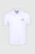 252986-01.webp