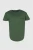 260188-01.webp
